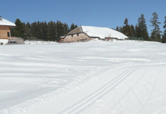 Passo di Lavazè