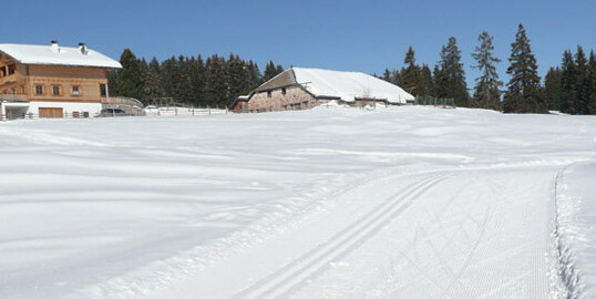 Passo di Lavazè