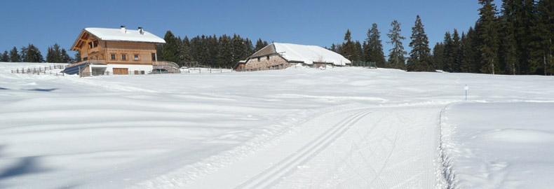 Passo di Lavazè