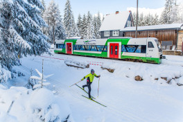 Thüringer Wald: Skilanglaufen auf und abseits des Rennsteigs