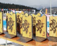 Handgefertigte Pokale