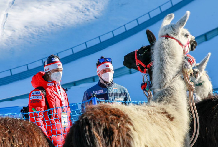 Wenn man nicht springen kann, muss man sich anderweitig beschäftigen: Die norwegischen Trainer Tom Hilde und Carlo Brömel machen Bekanntschaft mit Lamas.