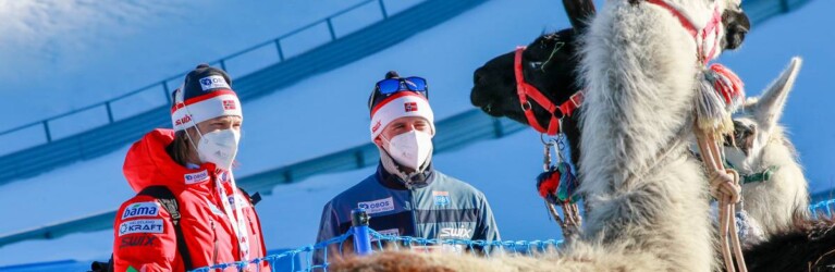 Wenn man nicht springen kann, muss man sich anderweitig beschäftigen: Die norwegischen Trainer Tom Hilde und Carlo Brömel machen Bekanntschaft mit Lamas.