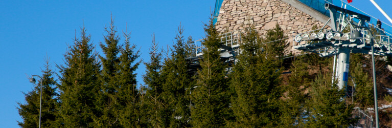 Österreichische Laufgruppe im Training: Mario Seidl (AUT), Johannes Lamparter (AUT), Martin Fritz (AUT), (l-r) vor dem Midtstubakken.
