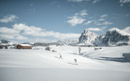 Dolomiti NordicSki: An Umfrage teilnehmen und gewinnen!