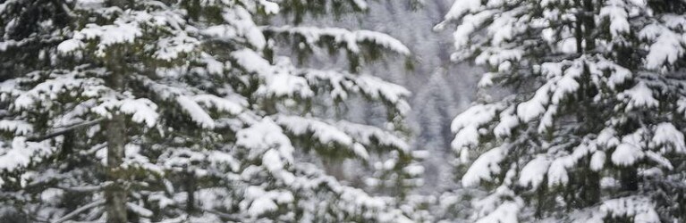 Jens Luraas Oftebro (NOR) allein auf weiter Flur