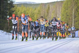 Was Elite-Skilangläufer vom Rest unterscheidet — Erkenntnisse aus der Kraftkurvenanalyse des Doppelstockschub
