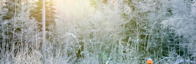 Das österreichische Trio mit Stefan Rettenegger (AUT), Johannes Lamparter (AUT), Franz-Josef Rehrl (AUT), (l-r)
