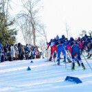 Massenstart in Otepää (EST)