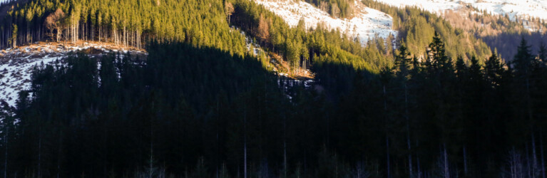 Laufgruppe vor toller Kulisse in der Eisenerzer Ramsau (AUT)
