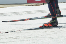 Der Skating-Ski: Ursachen des Gleitwiderstands, Maßnahmen zur Reduzierung durch Skikonstruktion, Oberflächenstruktur und Beschichtung