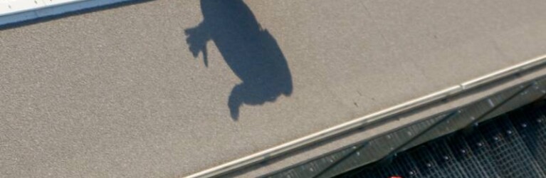 Fabio Obermeyr (AUT)