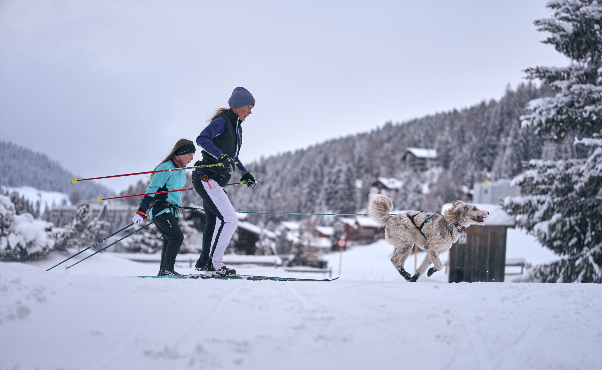 bildergalerie-familienurlaub-in-davos