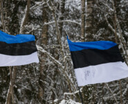 Estnische Flaggen stehen steil im Wind.