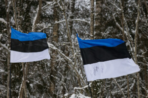 Estnische Flaggen stehen steil im Wind.