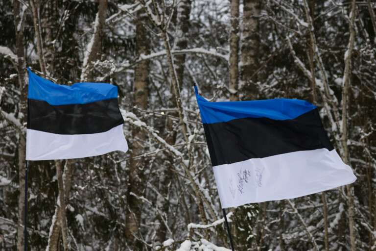 Estnische Flaggen stehen steil im Wind.