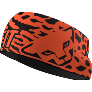 Dynafit Graphic Performance Stirnband