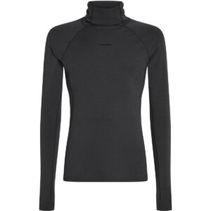 Icebreaker Herren 300 MerinoFine Polar Roll Neck Longsleeve