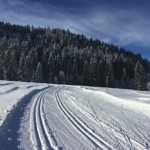 scheuenloipe