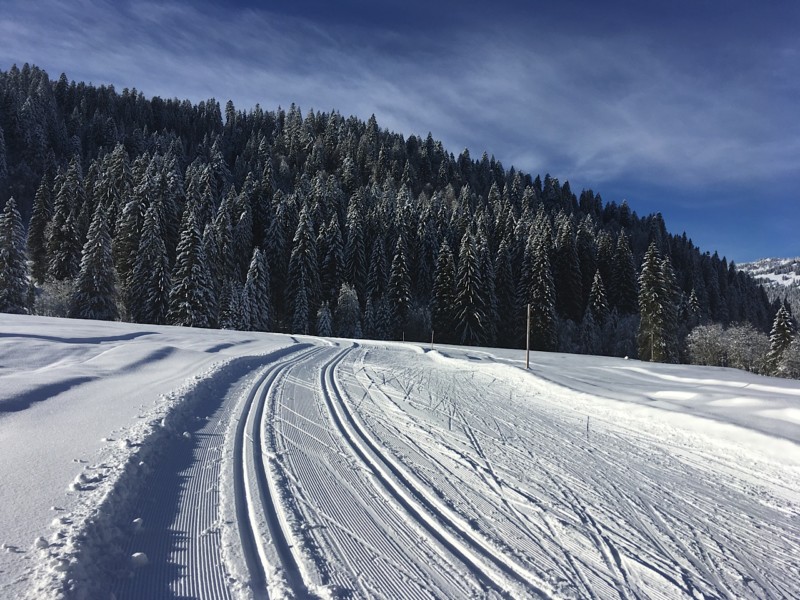 scheuenloipe