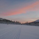 hangaskuru
