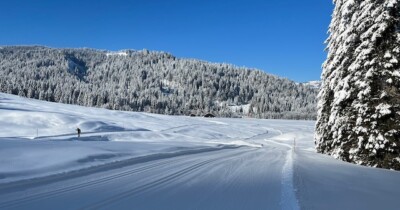 Langlaufen in Balderschwang