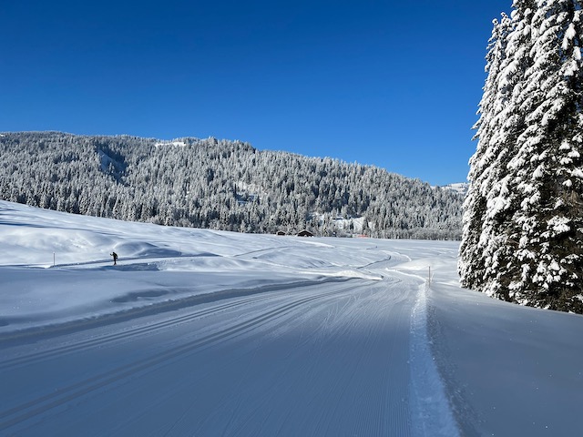 langlaufen-in-balderschwang
