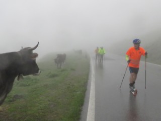 so-fans-kurz-vorm-timmelsjoch