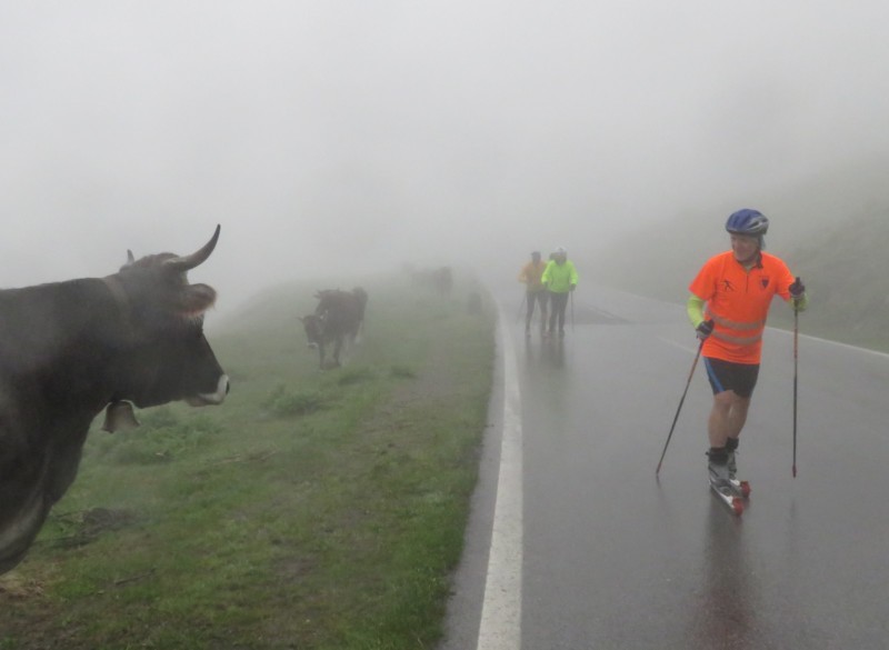 so-fans-kurz-vorm-timmelsjoch